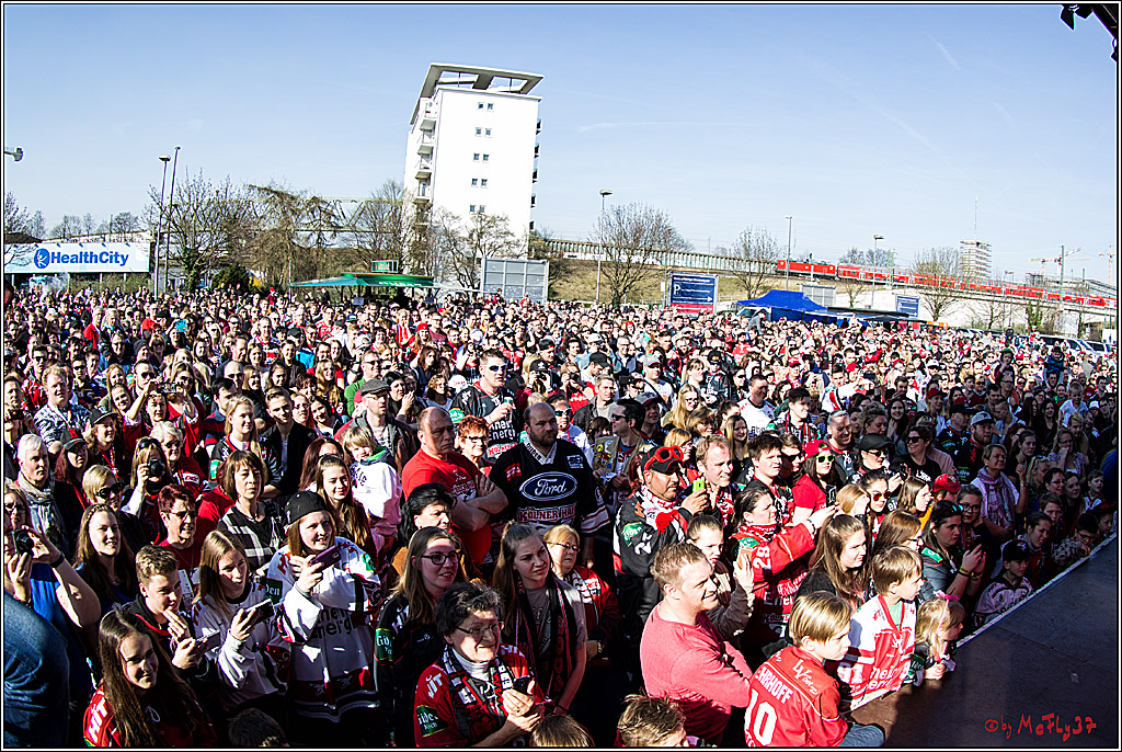 Koelner Haie Abschussparty, 26.03.2017